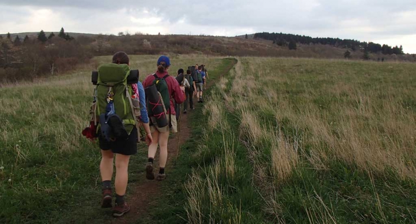 A group of people wearing backpacks hike away from the camera, along a trail through a grassy meadow.